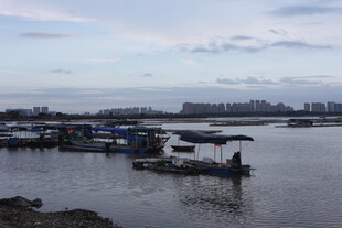 江边停泊的船只景观