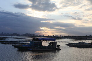 黄昏下的水上渔船景象