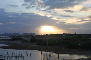 夕阳下的田野景观