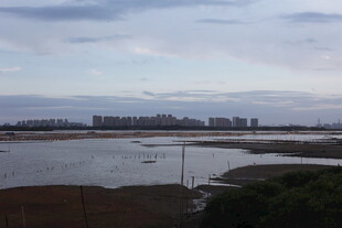 河畔城市远景风光