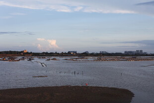 湖畔飞鸟与黄昏美景
