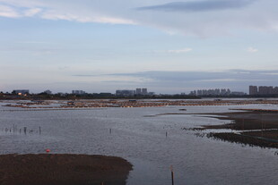 广阔水域与远处天际景观