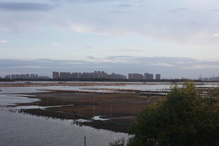 河畔城市景观远景