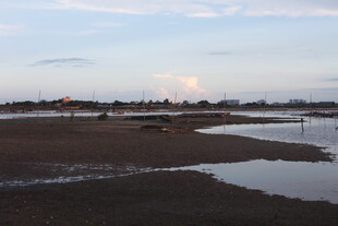 黄昏下的河岸湿地景观
