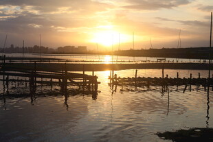 夕阳下的水边栈桥美景