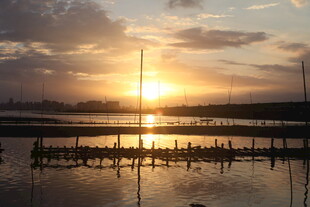 夕阳下的宁静水上风光