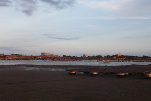 黄昏下的宁静河岸风光