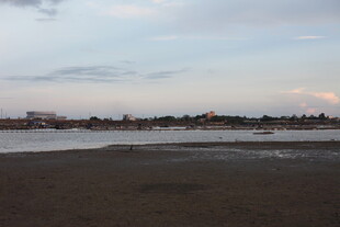 黄昏下的宁静河岸风光