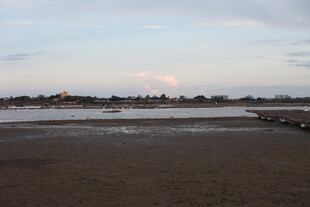 黄昏下的宁静河岸风光