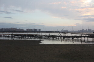 黄昏下的宁静水边景致