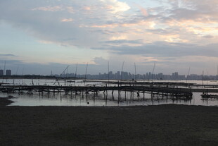 黄昏下的码头与天际景色