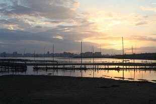 日落海港的静谧帆船景象