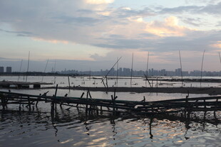 黄昏下的水上养殖场景