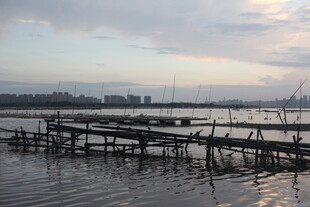 黄昏下的宁静码头风景