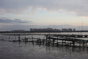 黄昏下的水上木质栈桥