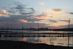 日落时分的宁静水面景象