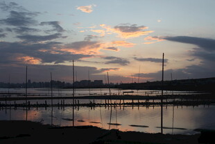 夕阳下的宁静水边风景