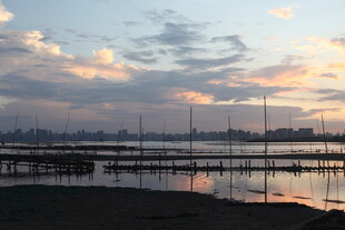 黄昏下的宁静水边风景