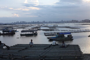 黄昏下的水上船只景象