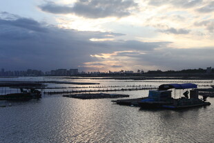 夕阳下的宁静水上场景