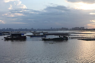 夕阳下的水上船只景观