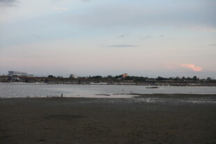 黄昏下的宁静河岸风光