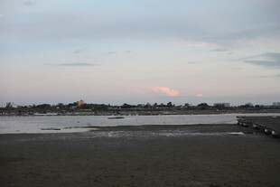 黄昏下的宁静河岸风光