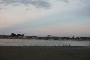 黄昏下的宁静水边景致