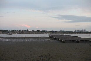 黄昏下的宁静海滨场景