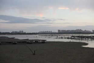 黄昏下的宁静河岸风光