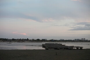 黄昏下的宁静河岸风光