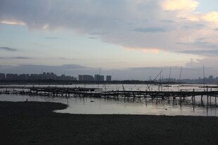 黄昏下的码头与城市天际线