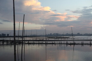 湖畔暮色中的林立桅杆