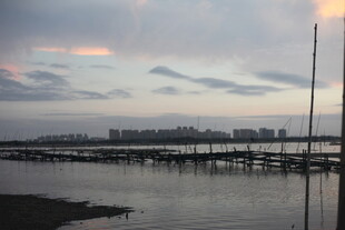 黄昏下的宁静水域与栈桥