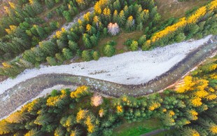 秋日蜿蜒公路穿斑斓树林