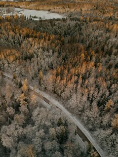秋日林间蜿蜒公路美景