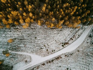 雪覆山林间蜿蜒的公路