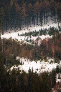 雪覆山林景观