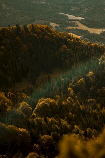 秋日山林美景