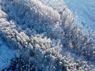 冬日雪覆山林绝美景观