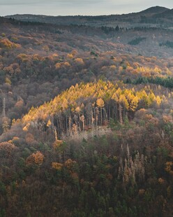 秋日山林斑斓美景