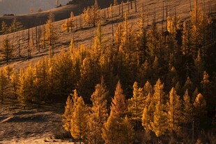 秋日山林美景