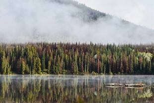 湖畔山林晨雾美景