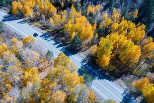 秋日林间公路美景