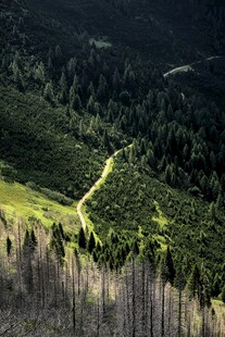 山间蜿蜒小路穿翠绿山林