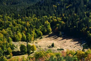 山林开阔地俯瞰美景
