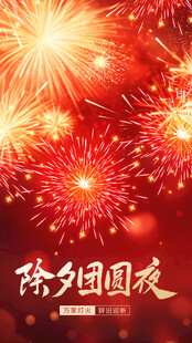 除夕团圆夜烟花绽放海报