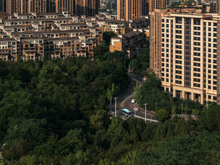 城市中的绿树环绕住宅区