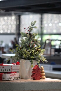 室内圣诞绿植装饰摆件