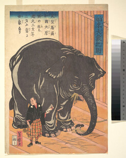 人与大象的传统画面